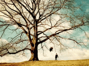 Koan – Odysseus Under The Old Tree